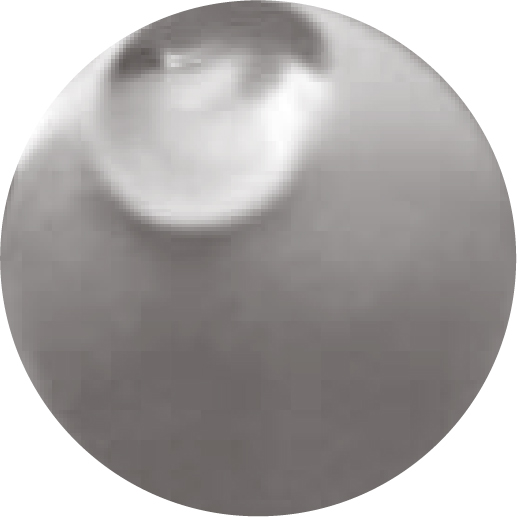 保柔緹完全凝膠型玻尿酸顯微鏡切片圖