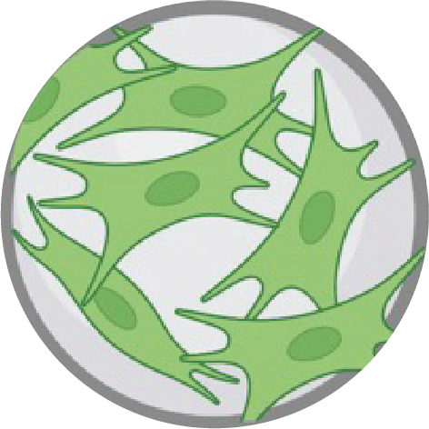 CaHA微晶球示意球